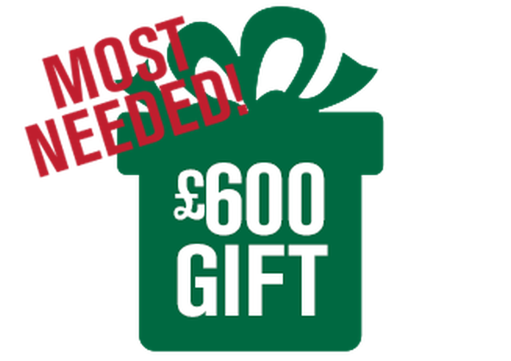 The Gift of Jungle School