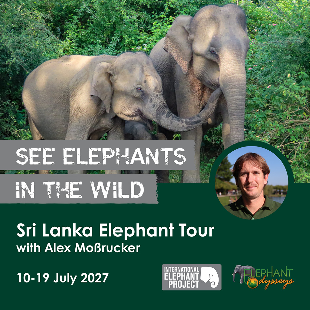 SRI LANKA ELEPHANT TOUR | 10-19 JULY 2027