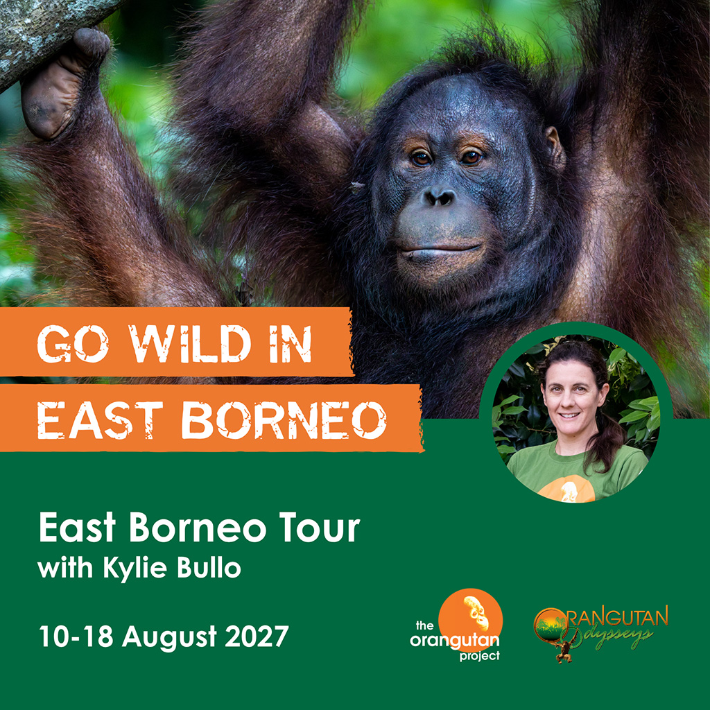 EAST BORNEO TOUR | 10-18 AUGUST 2027
