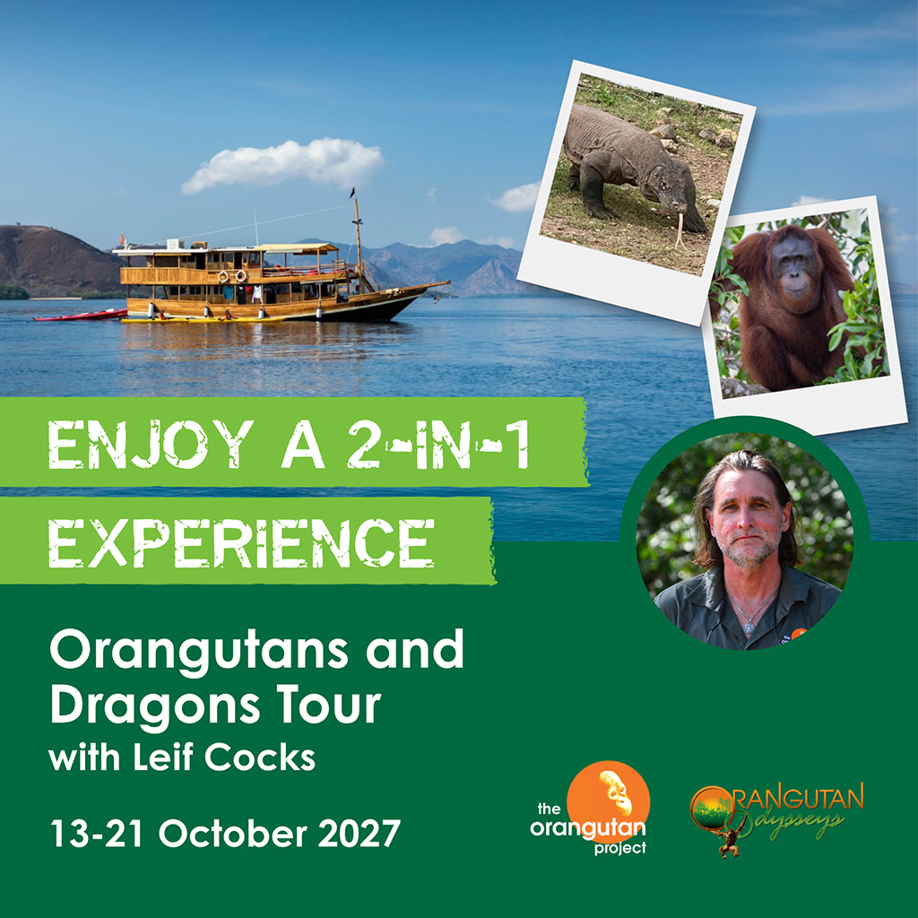 ORANGUTANS & DRAGONS TOUR | 13-21 OCTOBER 2027
